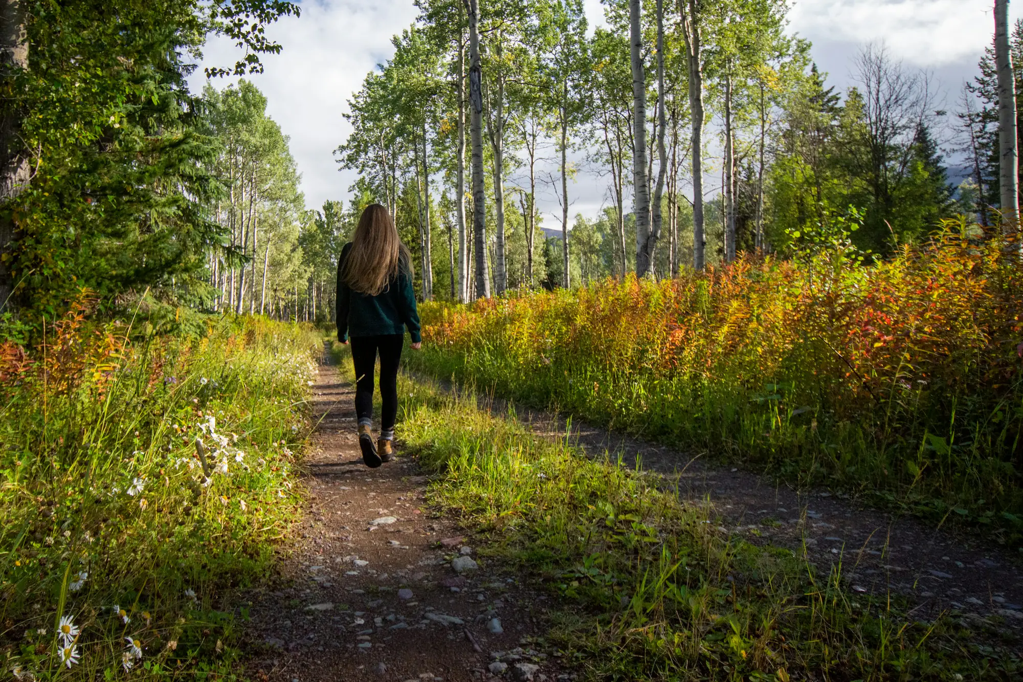 Personne marchant sur un chemin en forêt