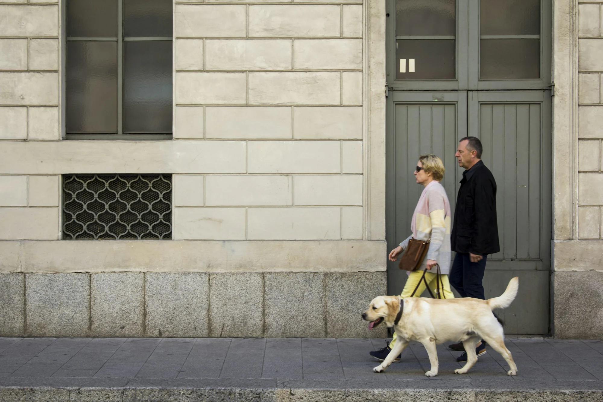 Un chien guide accompagne une personne dans la rue